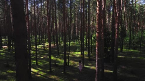 A Girl Got Lost in the Woods