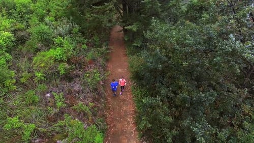 Couple jogging on forest path