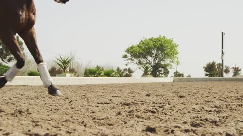 Caucasian woman riding her horse