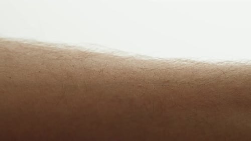 Close-up of an arm with fine hairs