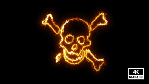Burning Skull And Crossbones Reveal With Fire Effect