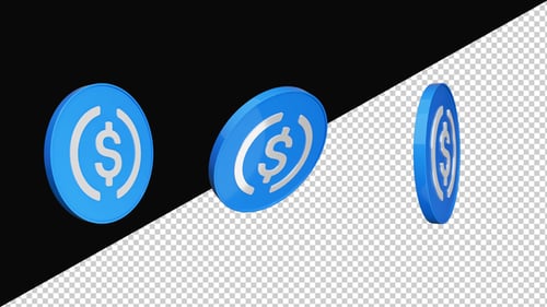 3D Animated Digital Currency Coin Icon Spin