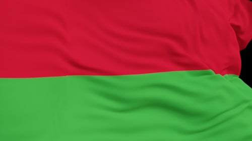 The Malawi flag with alpha channel waving in the wind in slow motion