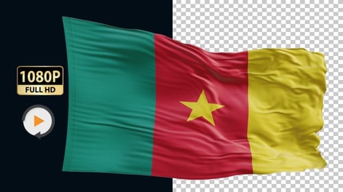 Realistic Waving Flag of Cameroon