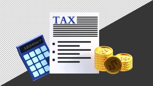 3D Annual Tax Payment Sheet | Alpha Channel
