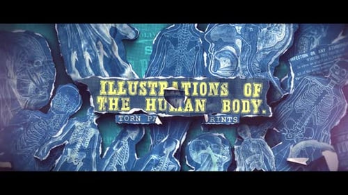 Anatomical Torn Paper Blueprints