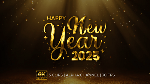 Happy New Year 2025 Animation