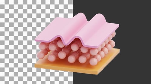 3D Animation of Close Up Wrinkled Skin and Its Treatments | Alpha Channel