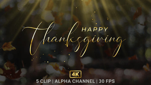 Happy Thanksgiving Text Animation