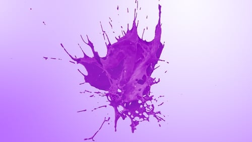 Purple Liquid Paint Splash Fluid Reveal Animation