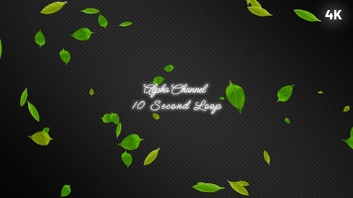 Green Leaves Falling