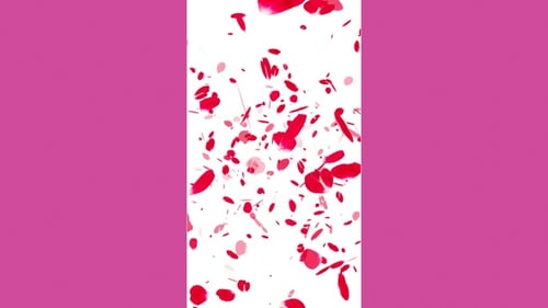 Rose Petals Falling Alpha Loop V3