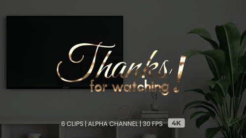 Elegant Calligraphic Thanks for Watching Animation Pack