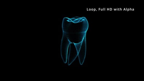 Teeth 3D Hologram