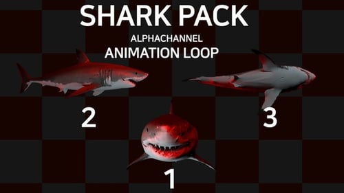 3D Animated Shark Loop with Alpha Channel