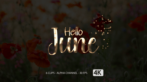 Animationstext „Hallo Juni“