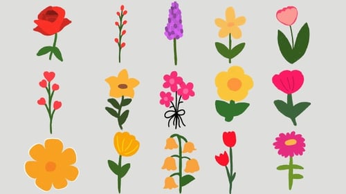 Hand-Drawn Animated Flowers Growing Collection