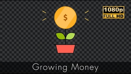 Growing Money