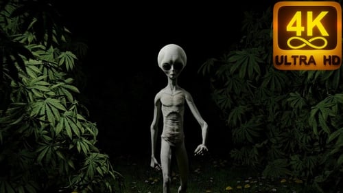 Eerie Alien Figure Stands Among Cannabis Plants at Night