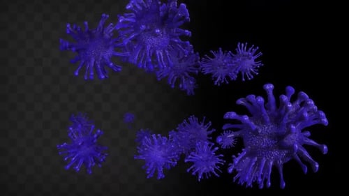 Animated 3D Purple Virus Particles Flowing