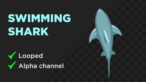 Minimalist Cartoon Shark Swimming Animation