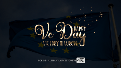 Six Metallic Happy VE Day Title Reveals with Elegant Animation