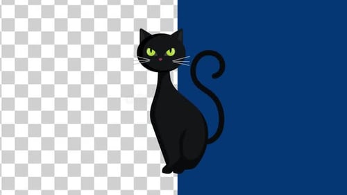 Black Cat Halloween Alpha