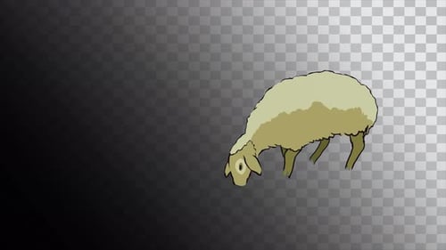 2D animation of a fat sheep eating and grazing cartoon alpha