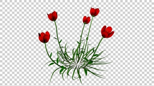 Animated Red Flowers Swaying with Green Leaves
