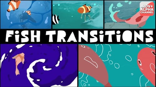 Animated Fluid Transitions and Cartoon Elements Pack