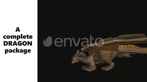 Complete Dragon Package