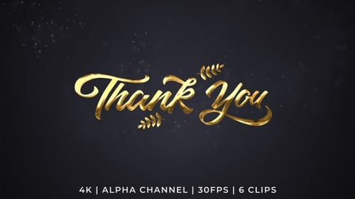 Thank You Text Animation