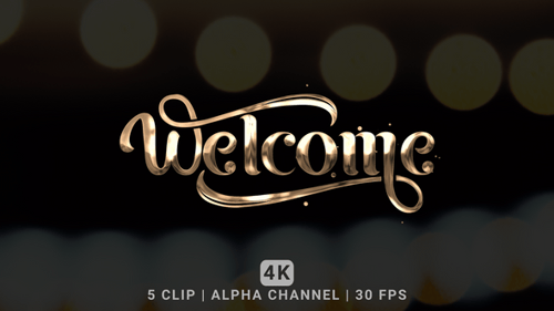 Elegant Metallic Welcome Text Reveal with Sparkling Particles