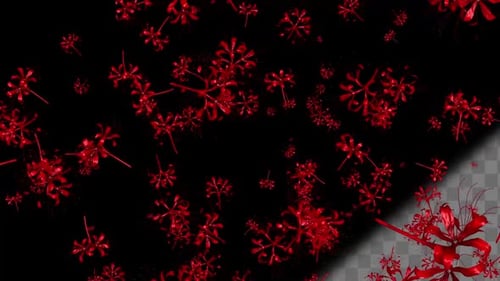 Red Lily Flowers v2