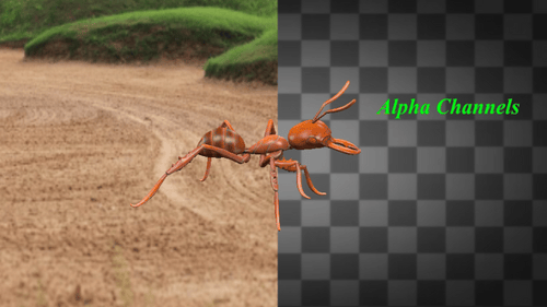 Ant Run Alpha-Kanäle