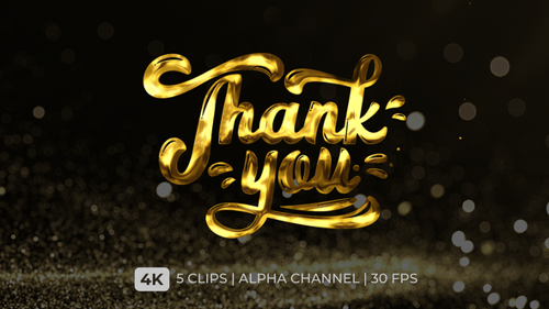 Thank You Text Animation Lettering