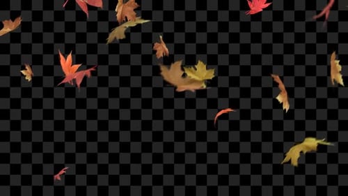 Autumn Leaves Season Overlays