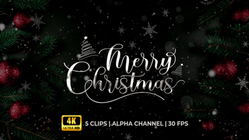 Elegant Golden Merry Christmas Calligraphy Title Animation