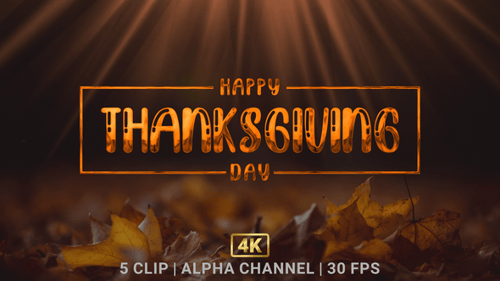 Happy Thanksgiving Day Animation