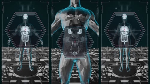 Pack de radiographie d'organes humains vertical