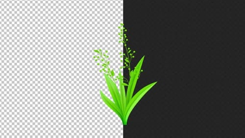 Animated Green Plant Element for Transparent Transition