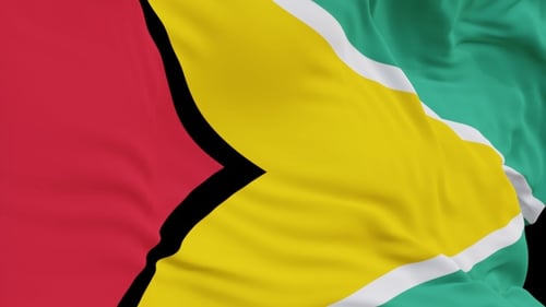 The Guyana with alpha channel waving in the wind in slow motion