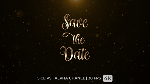 Save The Date Text Animation