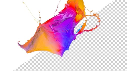 Vibrant Fluid Paint Splash Reveal Animation