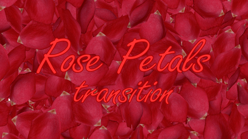 Romantic Red Rose Petals Transition Overlay