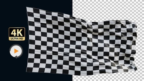 Rennfahrerflagge 4K Loop Alpha