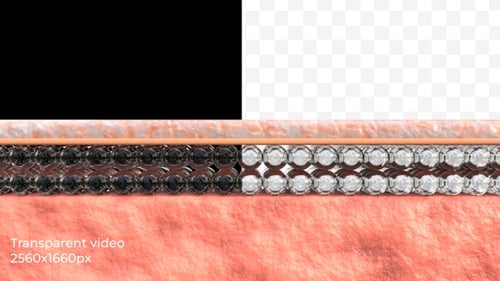 Dynamic Tissue Layers with Expanding Metallic Spheres Medical Animation