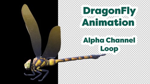 Dragonfly Animation