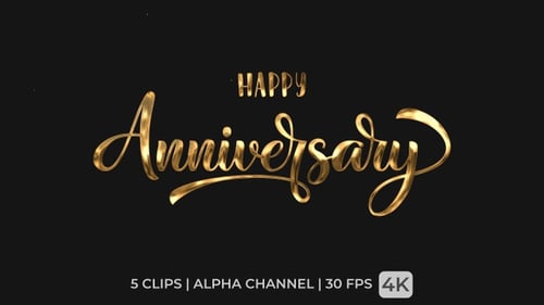 Happy Anniversary Elegant Script Text Reveal