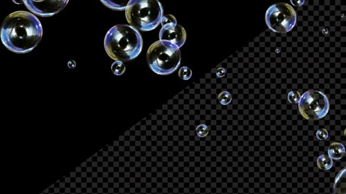 Soap Bubble Slowly Falling 4 K Alpha Loop